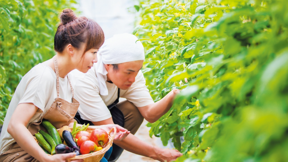 農園で職業体験をしている様子