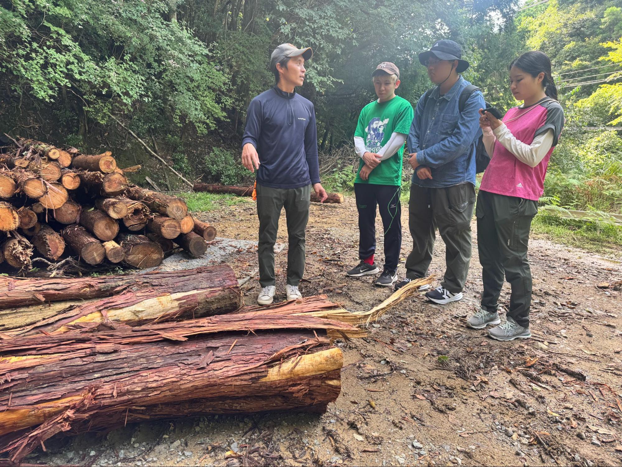 サムネイル画像